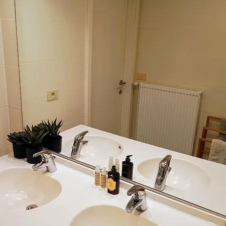 Huswell - Sunny Terrace With Harbour View - 5-min Walk To Station Apartment Ostend
